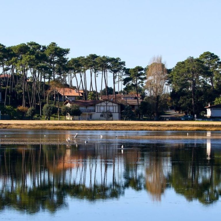 Pagaia sul lago di Hossegor, vista sulla riva e sui pini