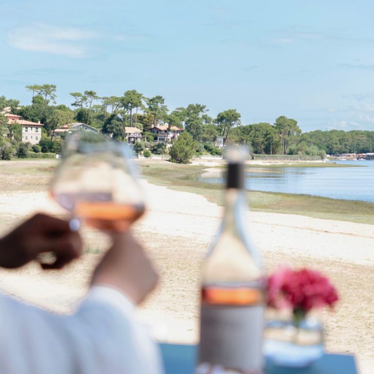 Vue de la Beach House, sur le Lac marin d'Hossegor et les pins landais